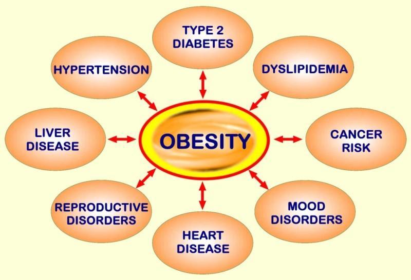 Relationship Between obesity and Mortality