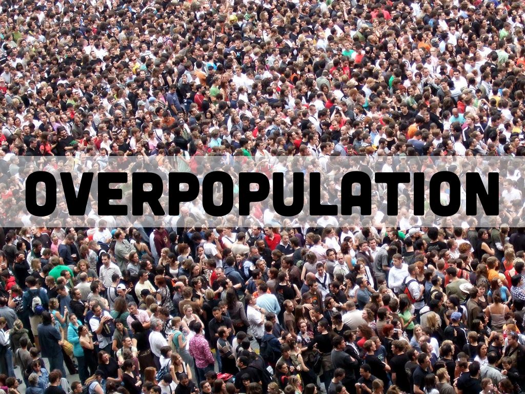 Why Does Overpopulation Exist? We Brought You The Answer