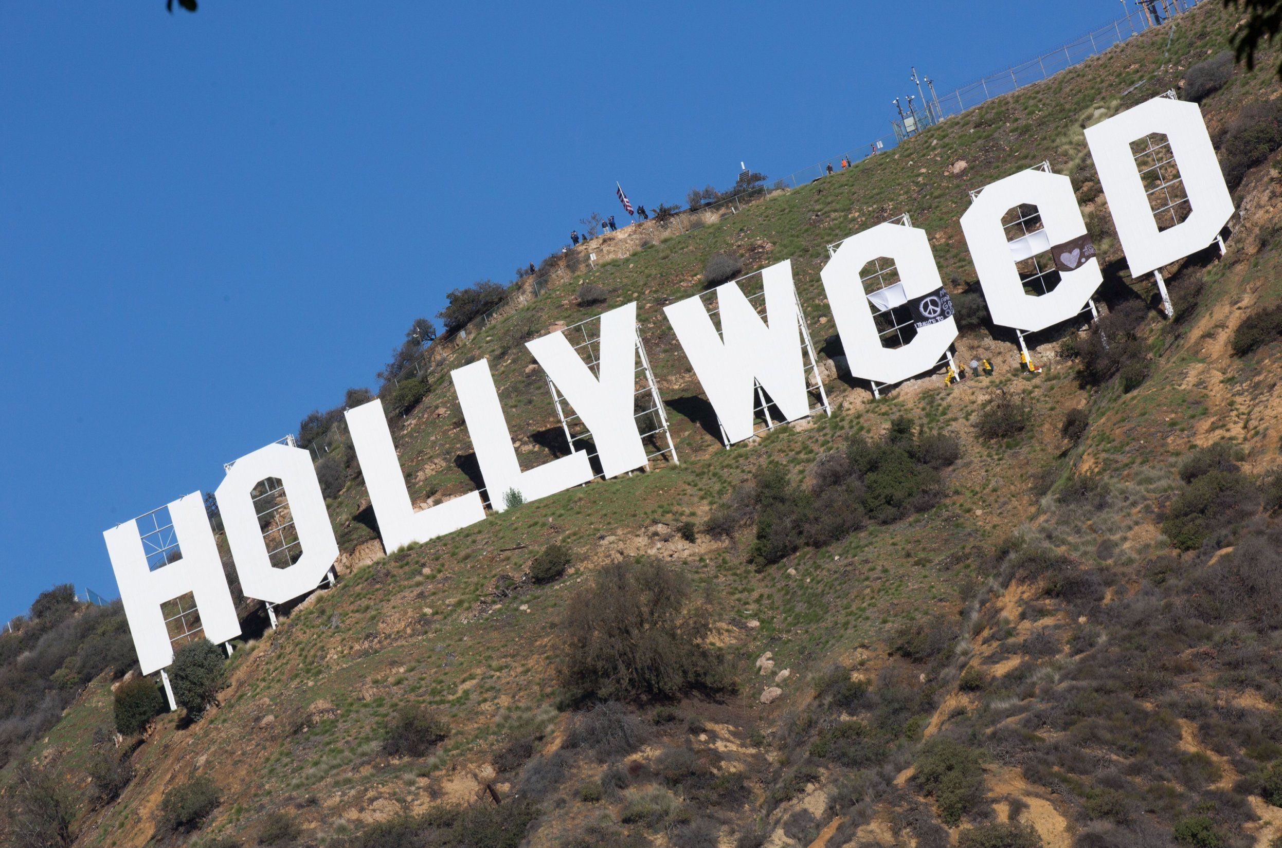 The Hollywood Sign Was Changed To Read "Hollyweed"