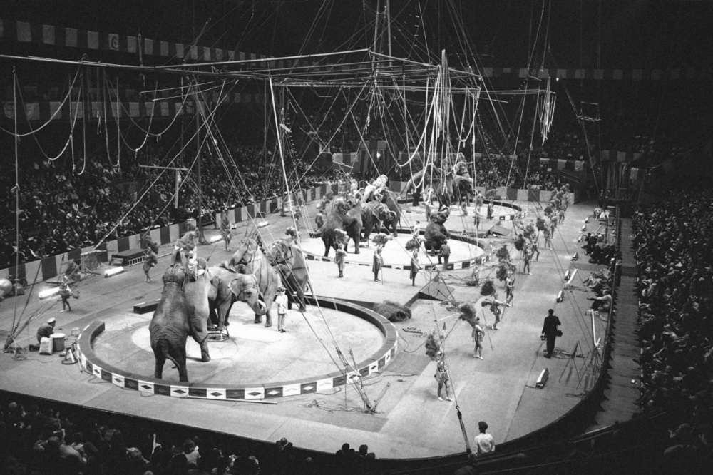 The Ringling Bros Circus Is Shutting Down After 146 Years
