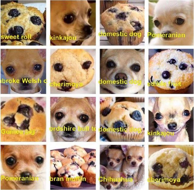 Here Are 15 Food Memes To Get You Through The Day