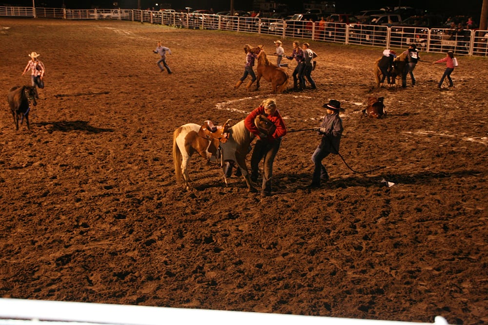 Community Events & Activities Stapleton, Nebraska
