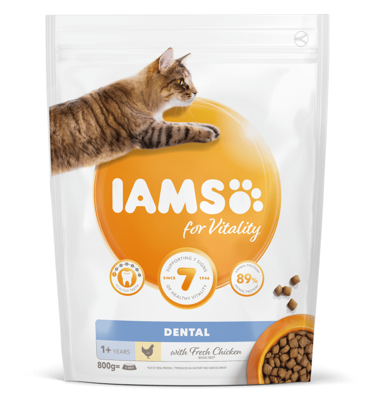 Iams Cat Adult Dental