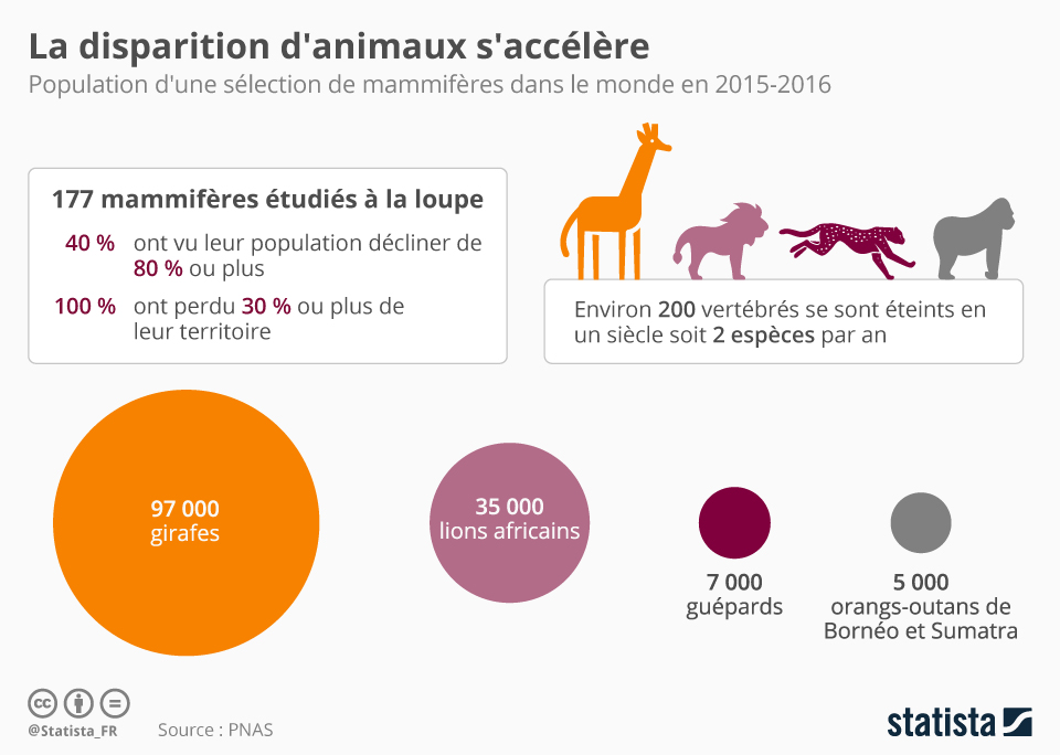 Graphique La disparition d'animaux s'accélère Statista