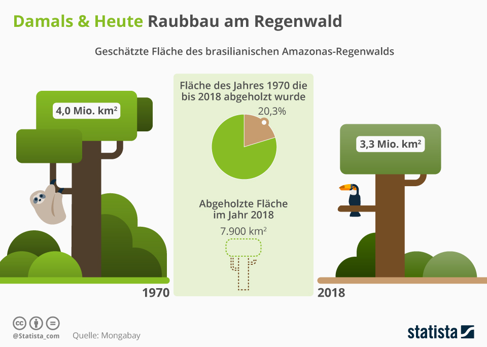 Infografik Raubbau am Regenwald Statista
