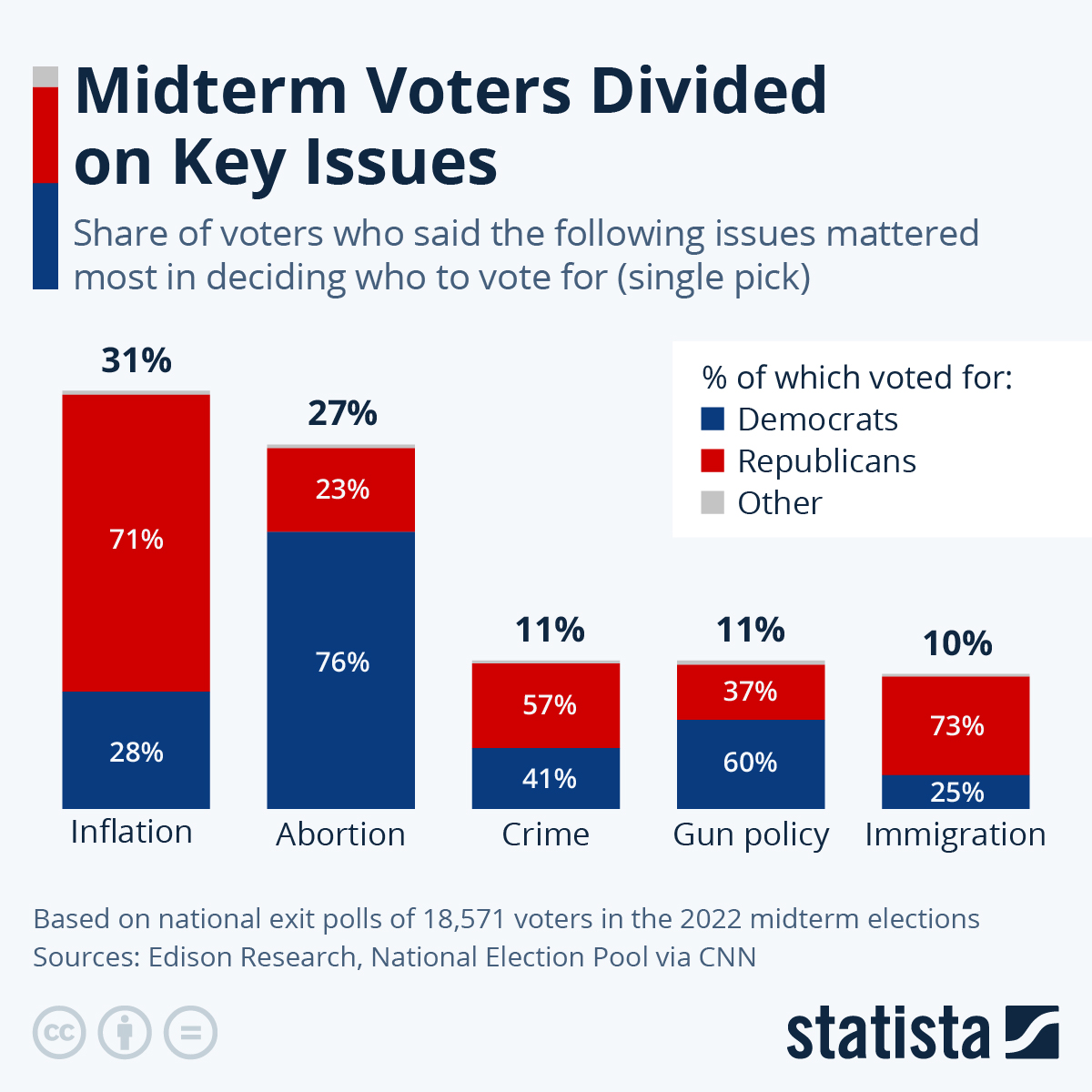 2022 Election Infographic