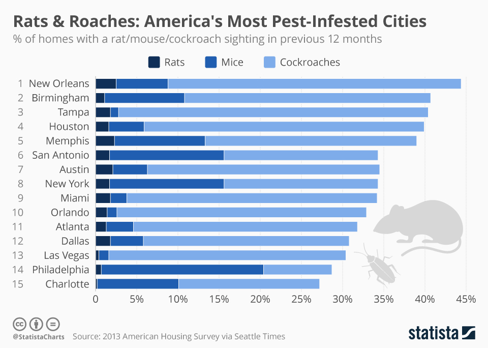 Chart Rats & Roaches America's Most PestInfested Cities Statista