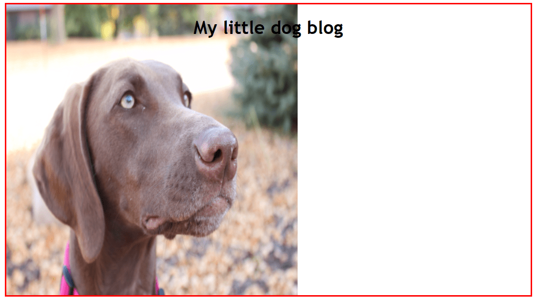 How to resize an image using CSS