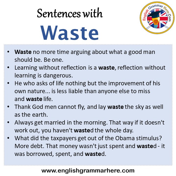 Sentences with Waste, Waste in a Sentence in English, Sentences For