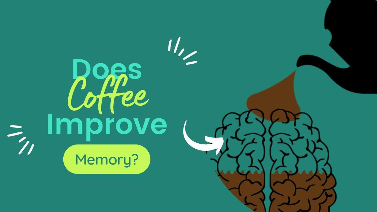 Does Coffee Improve Memory? Facts And Benefits » 2023
