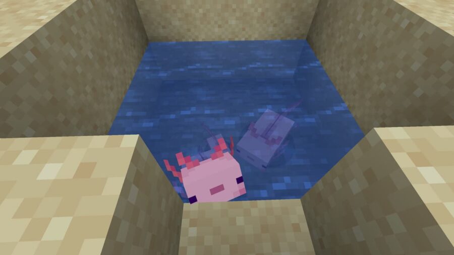 How to breed an Axolotl in Minecraft Pro Game Guides