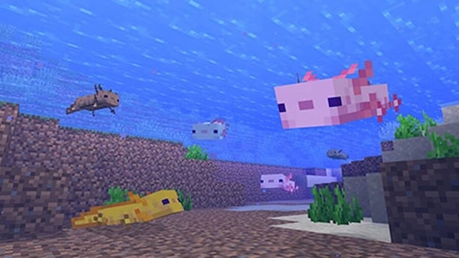 Where to find Axolotls in Minecraft Pro Game Guides