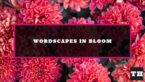 Wordscapes April 26 2022 (4/26/22) Daily Puzzle Answers! Try Hard