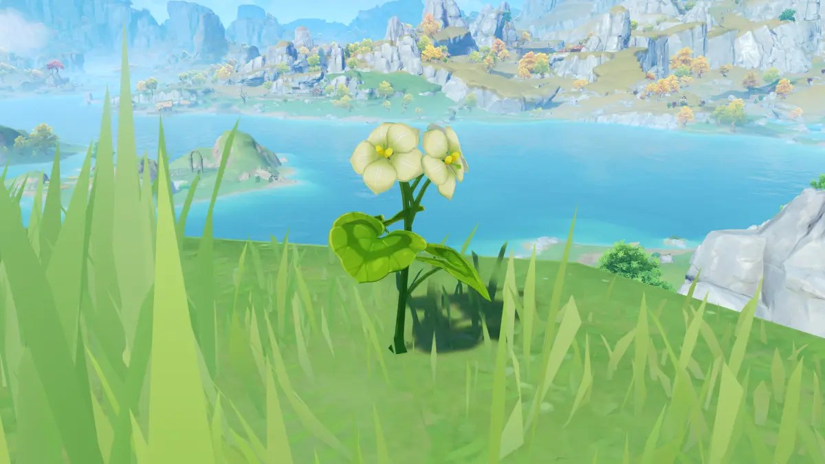 Where to find Qingxin flowers in Genshin Impact