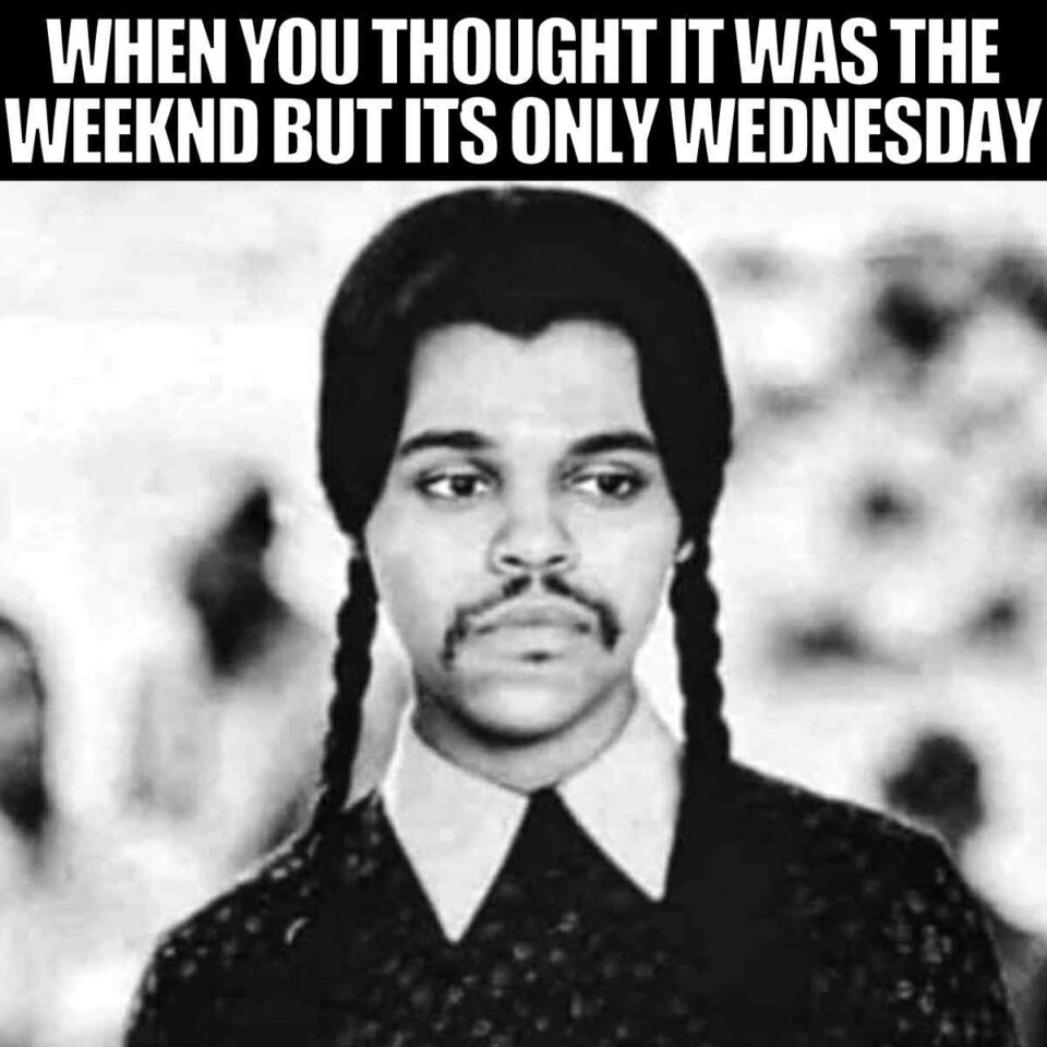 50 Funny Wednesday Memes And Images You Must Share Midweek