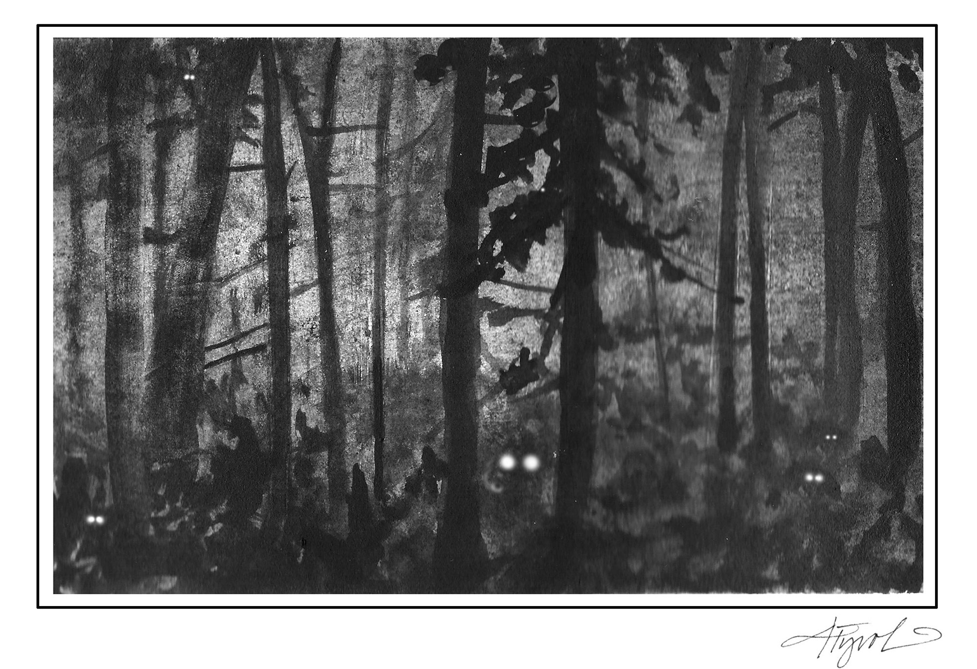 Why animals' eyes shine at night (but people's don't) NH