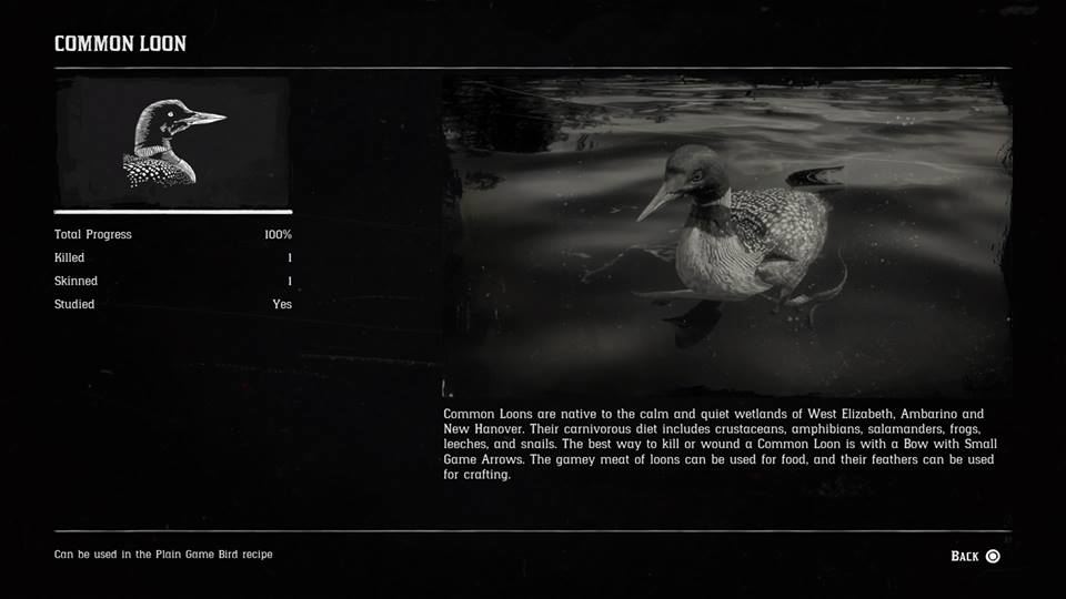 Hunting Page 6 Red Dead Redemption 2 Walkthrough Neoseeker