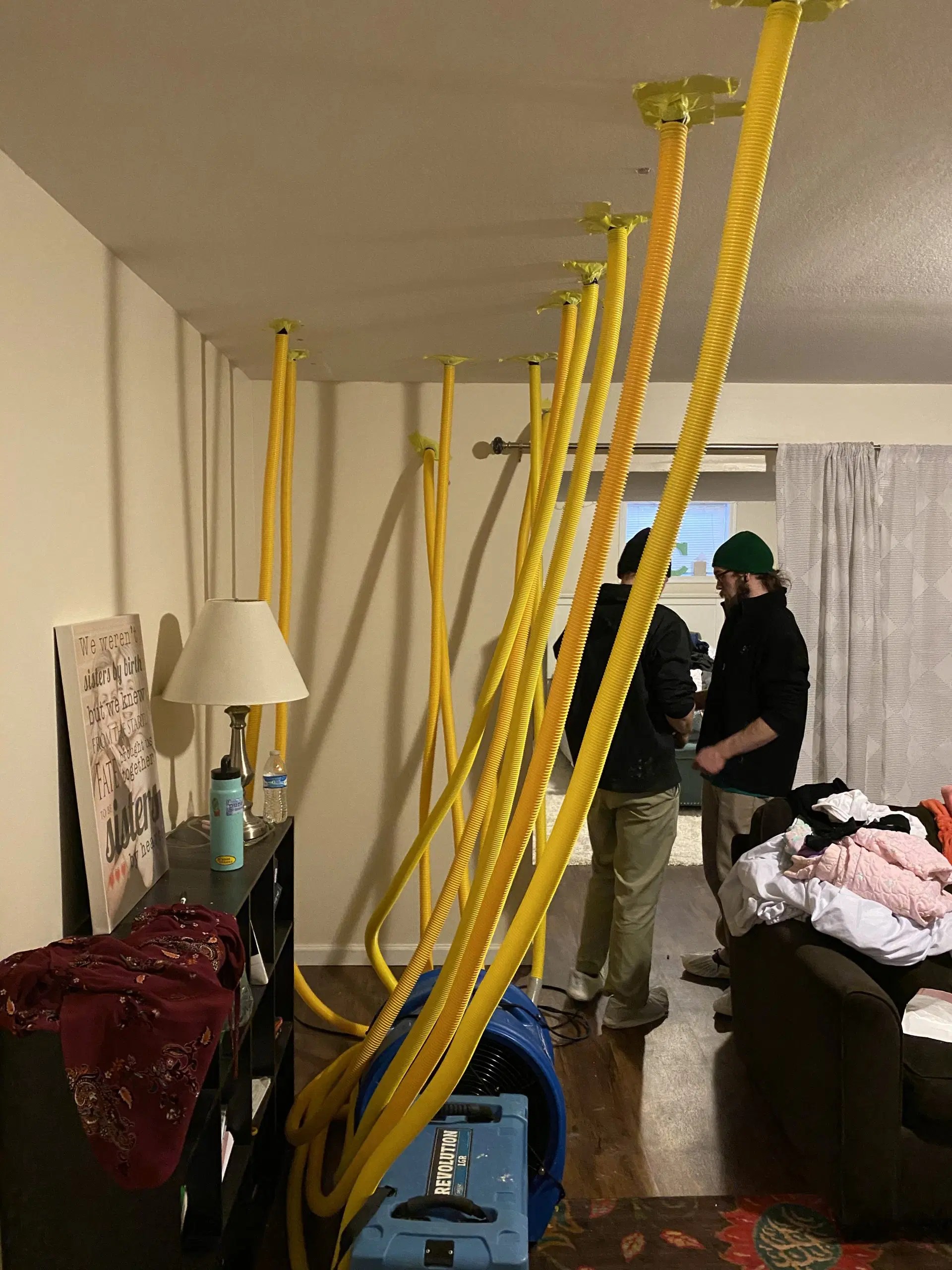 Water Damage Steam Green Carpet Cleaning And Restoration