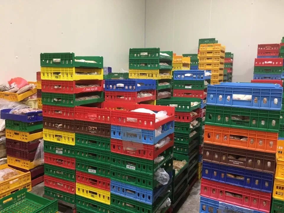 auric pacific food processing sdn bhd