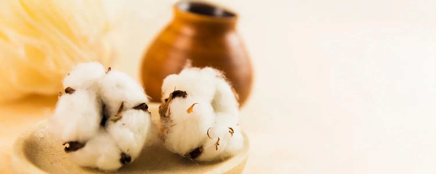 Why Cotton Clothing? Motherly Love