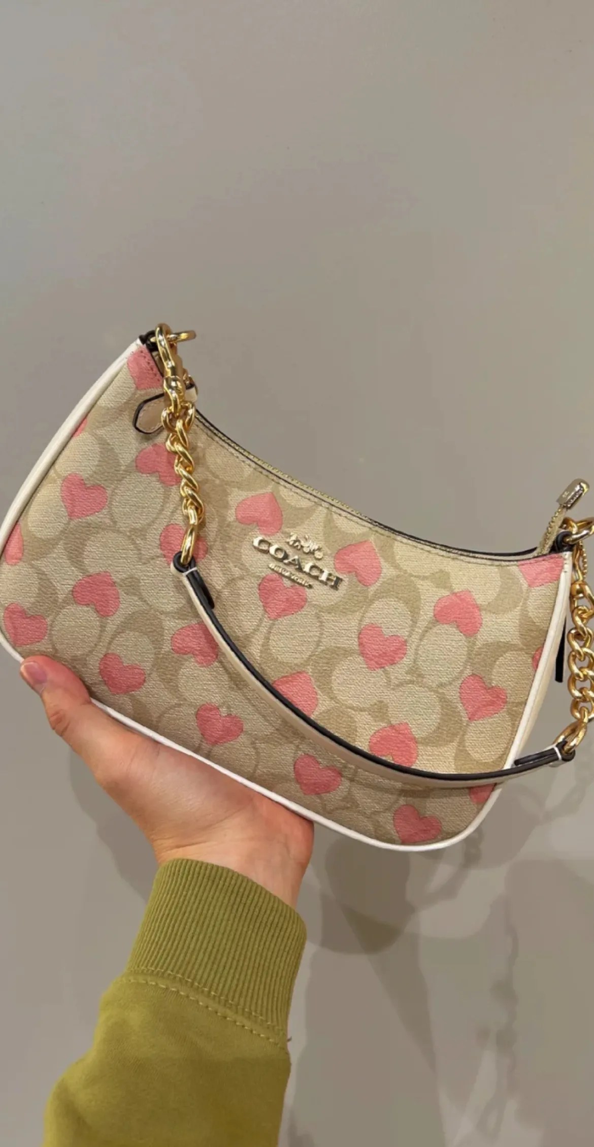 COACH Teri Shoulder With Signature Canvas Heart Vinee Bag