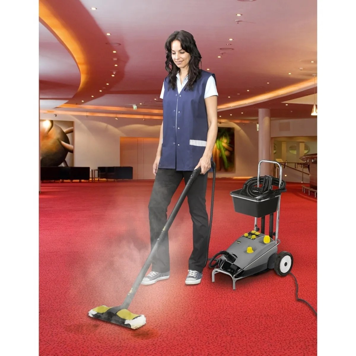 Karcher SG 4/4 Steam Cleaner MY Power Tools