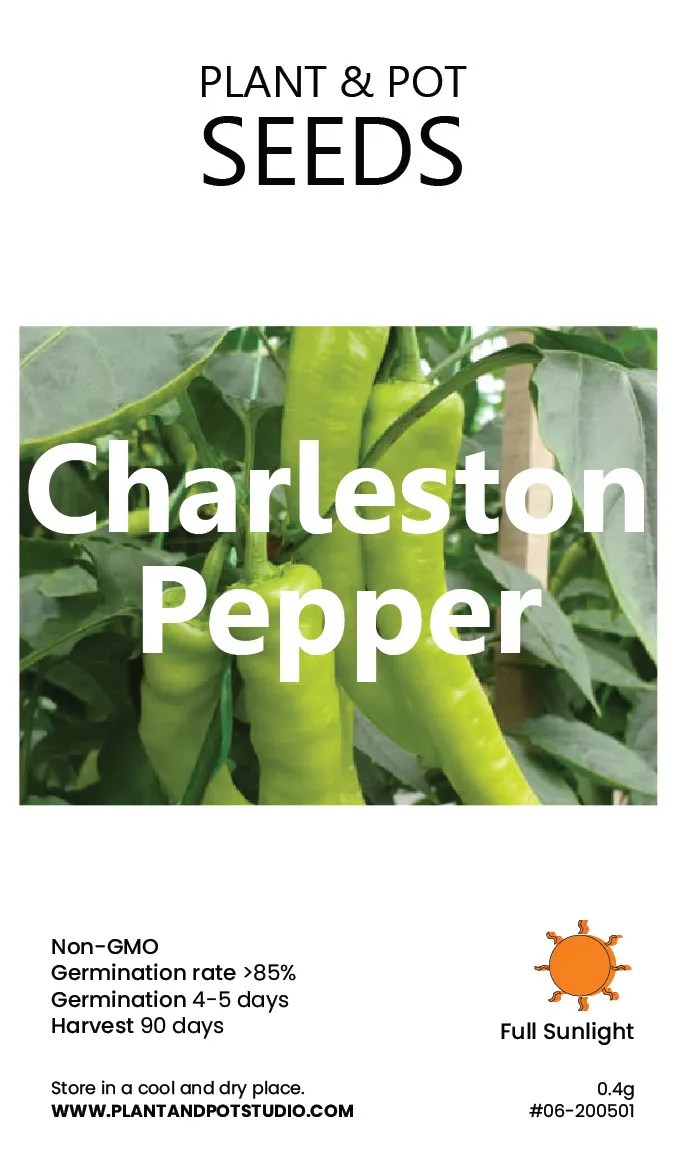 Charleston Pepper PLANT & POT STUDIO