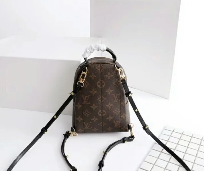 Louis Vuitton White Checkered Backpack Dupe Literacy Basics