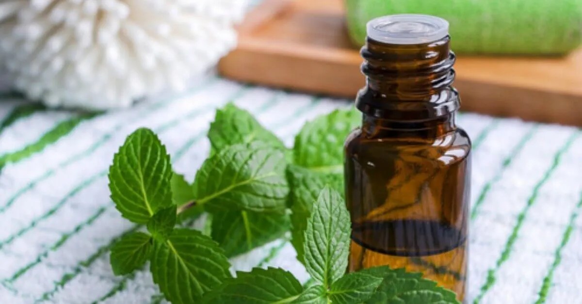 The Benefits of Western U.S. Peppermint + Cooling Spray DIY Joy of