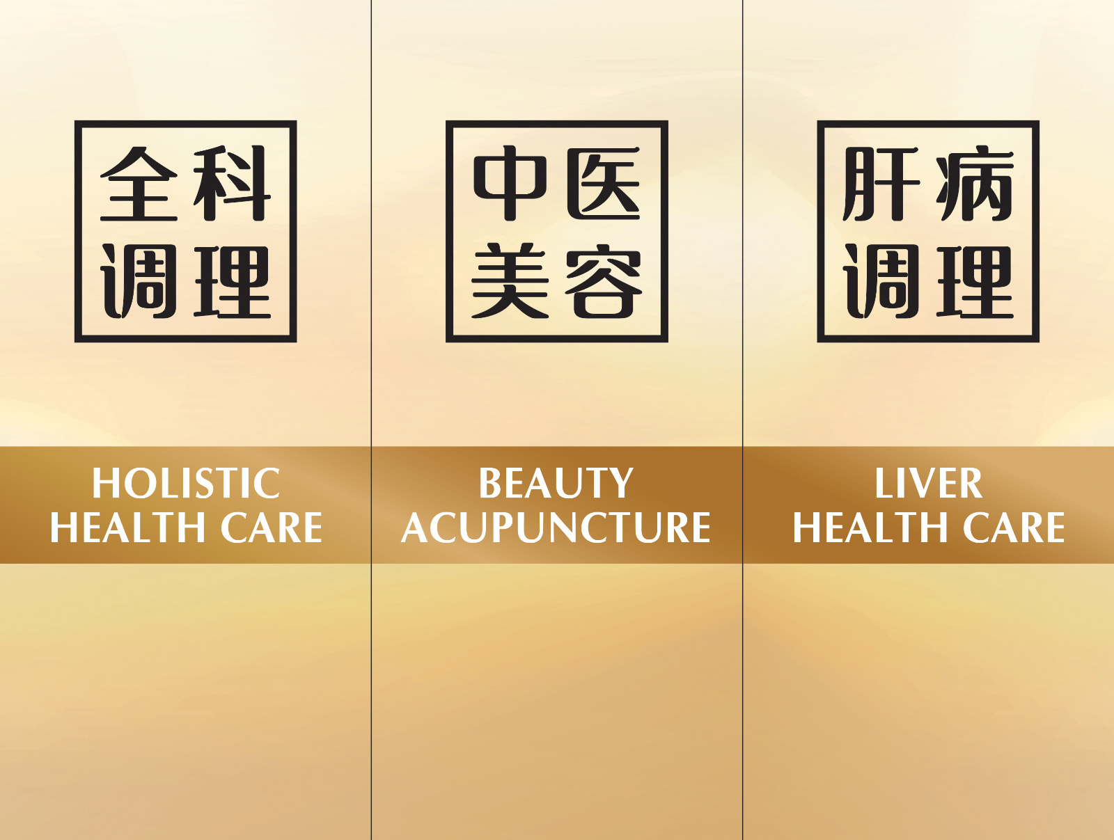 Consultation Appointment Han Secrets TCM Malaysia Health Care and