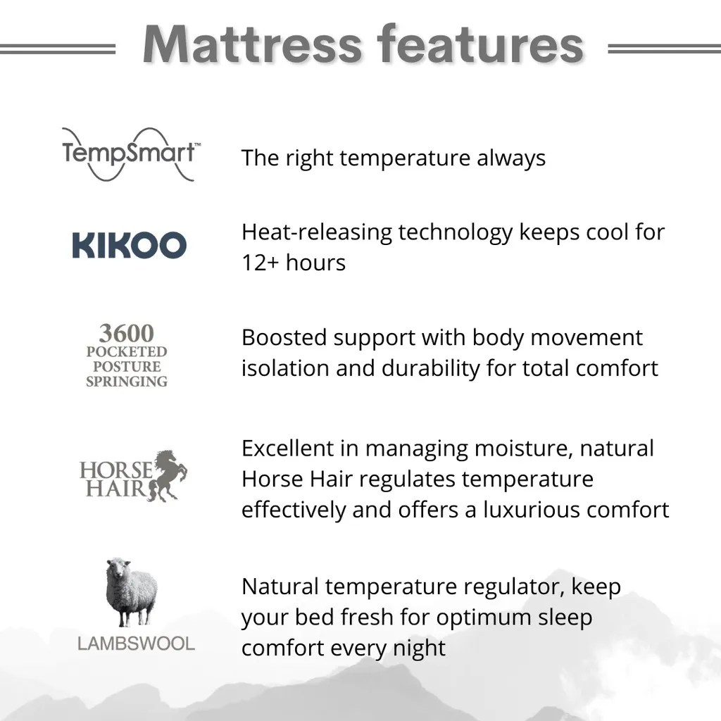 [FREE Pillow+FREE Delivery] Slumberland 13" Inch Regina I TempSmart 5.0