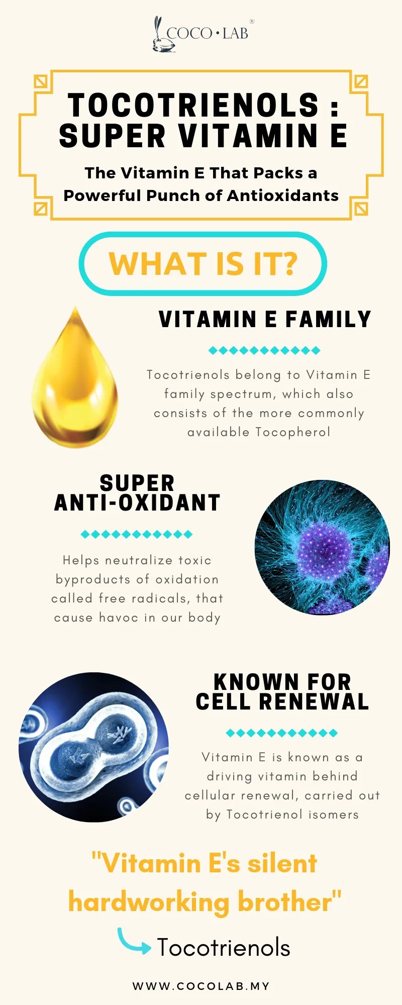 Tocotrienols The Vitamin E That Packs a Powerful Punch of