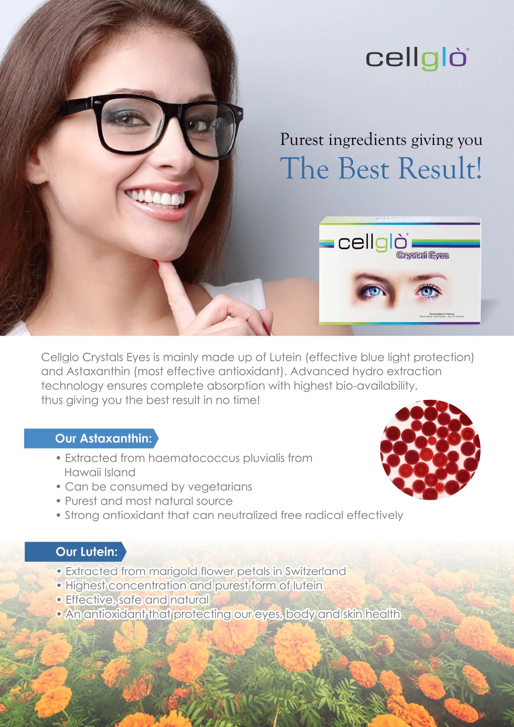 Cellglo CE Eyes Powder Cellglo Singapore by Joy Makers