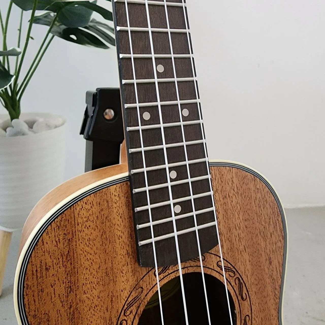 Deviser 24 inch Concert Ukulele with Bag (UK243 / UK2430) GUITARLICIOUS.MY