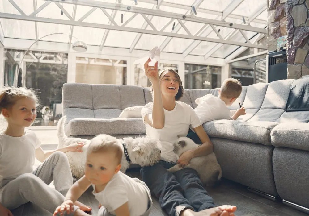 5 Best PetFriendly Sofa Materials For Pets and Pet Owners in Malaysia