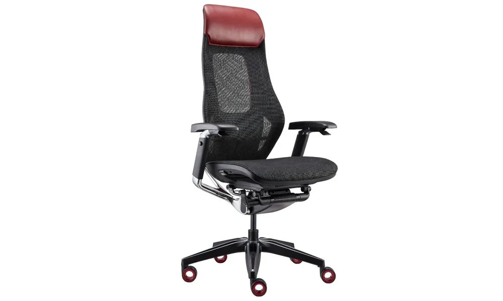 Top 8 Ergonomic Office Chair Brands for Ultimate Comfort in Singapore