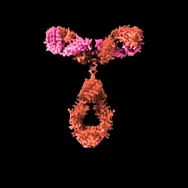 How Do I Know If I Have AGS? StoryMD