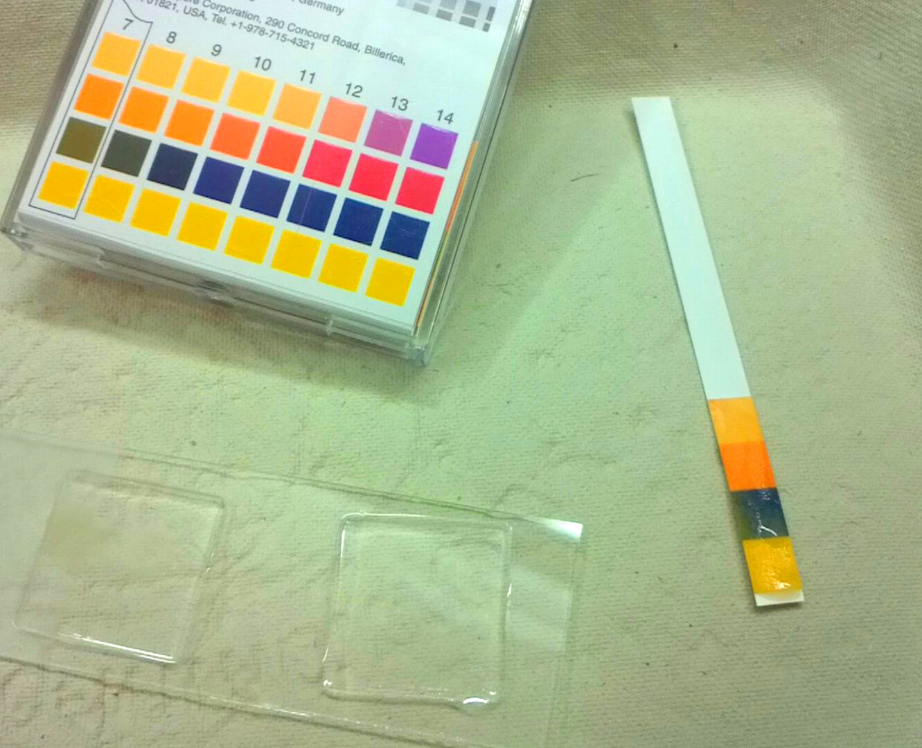 What Should I Do If I Have BV? StoryMD