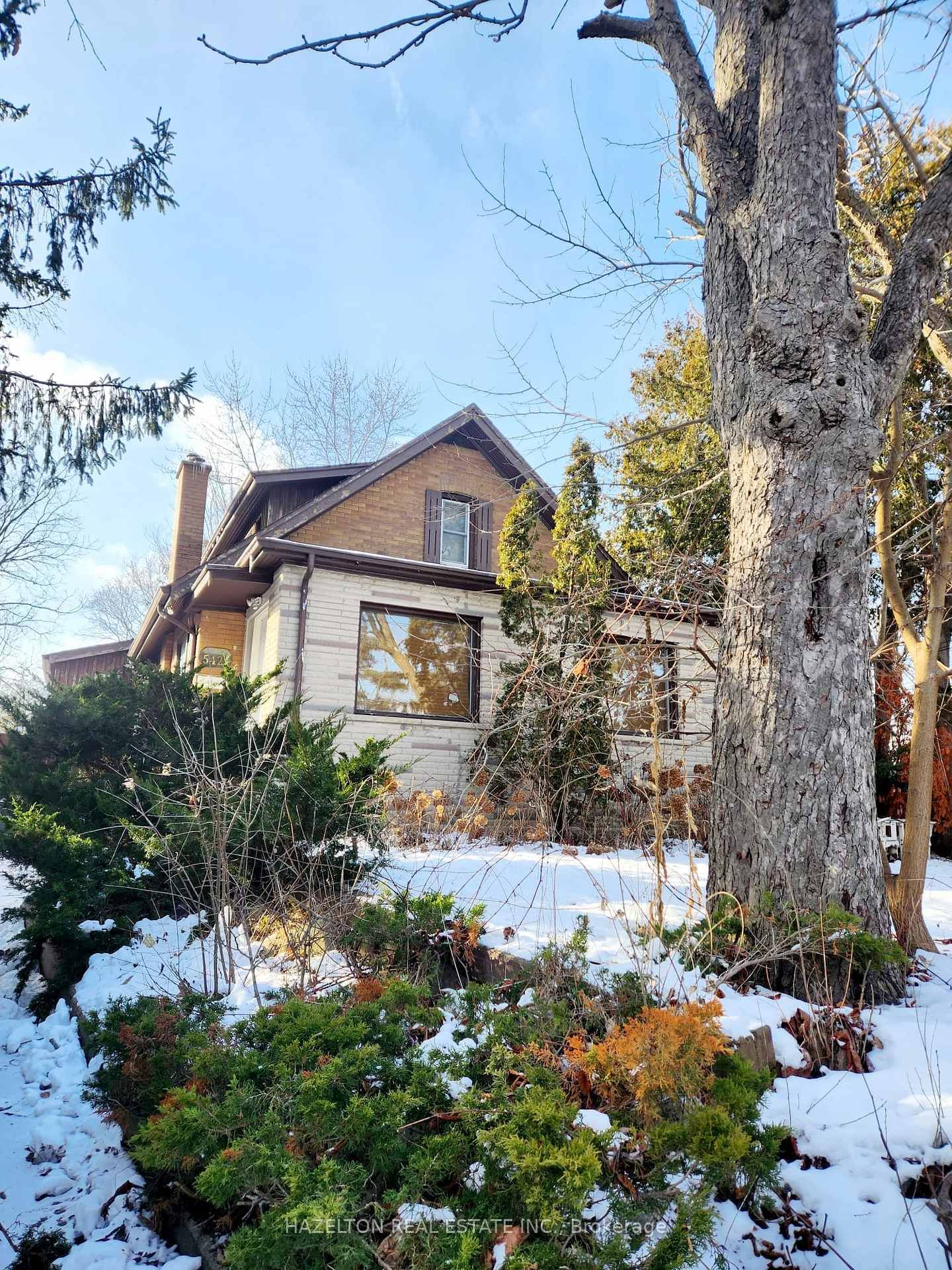 542 Meadowvale Rd 1 Bed 1 Bath Unit basement