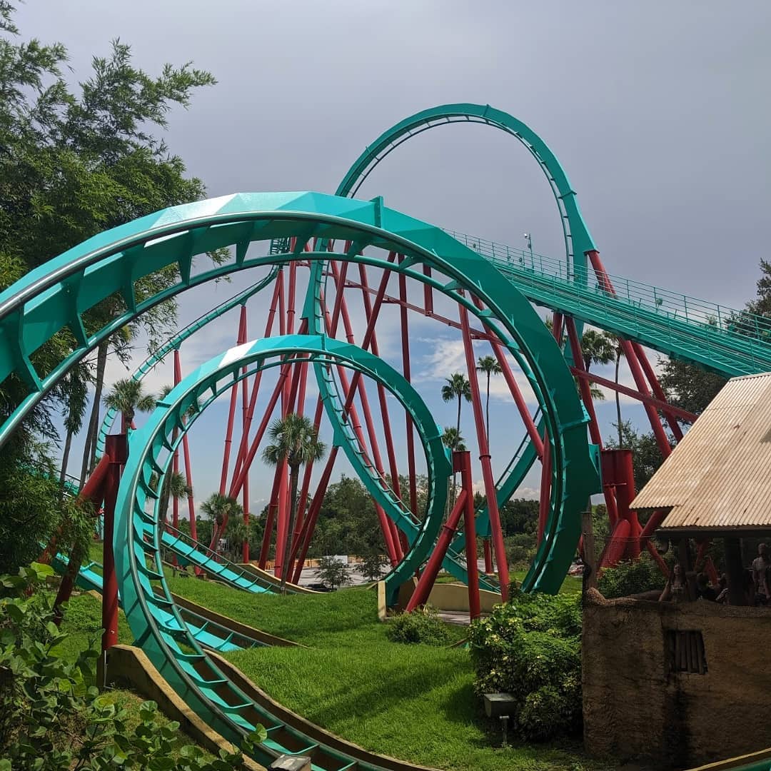 Bush Gardens, Tampa Flórida Fica Que Tem Dica