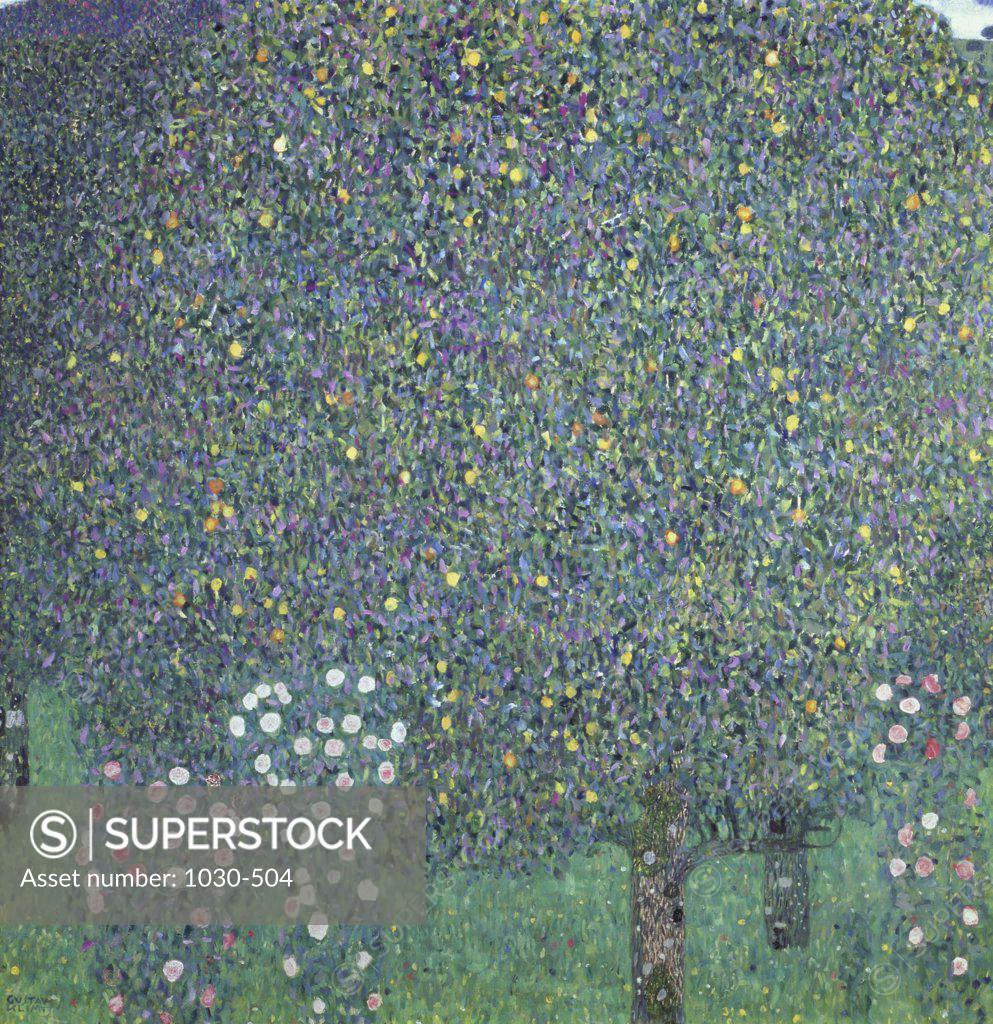 Rose Bushes Under the Trees 1905 Gustav Klimt (18621918/Austrian) Oil