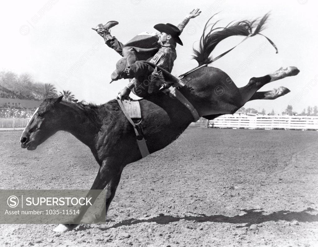 Kansas City, MIssouri c. 1950. The bareback rider must cling to the
