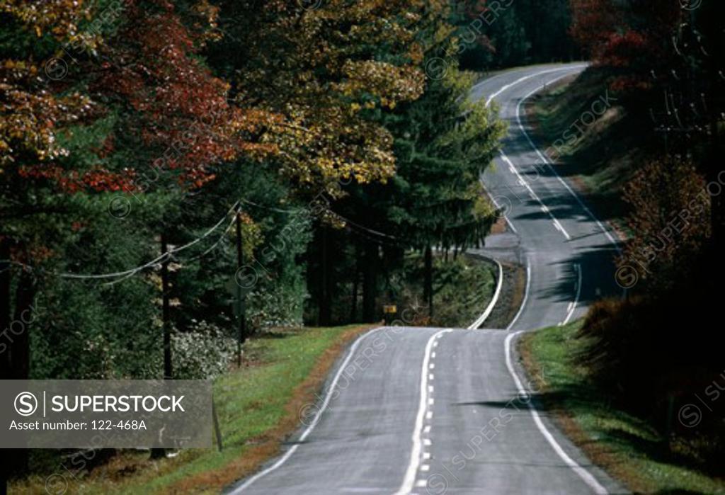 Trees along a road, Route 97, Monticello, New York, USA SuperStock