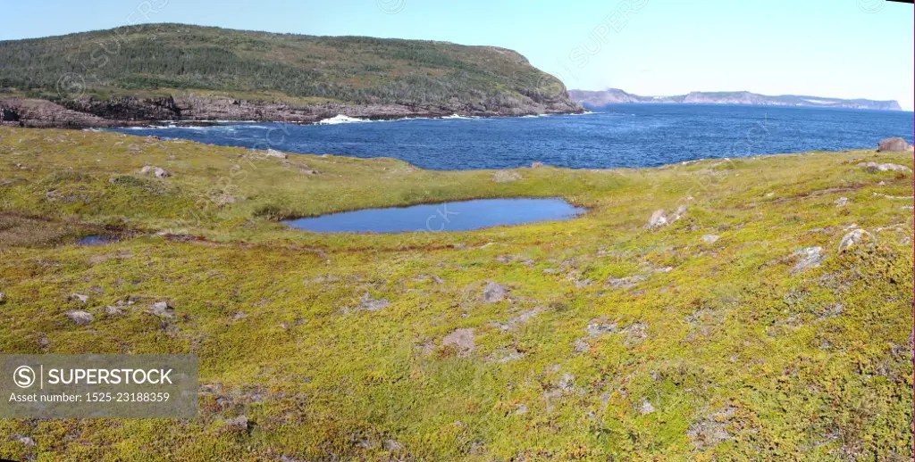 View of cape spear SuperStock