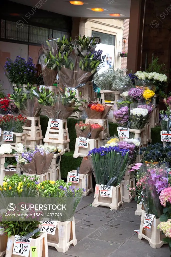 Flower Market in Winchester, England, UK. SuperStock