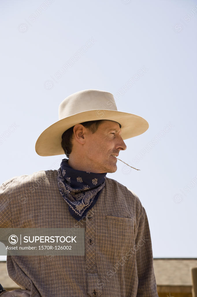 Profile of a cowboy chewing on a piece of straw SuperStock