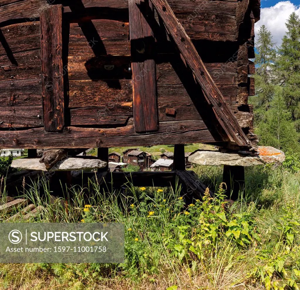 Farmhouses, chalets, hamlet, Zmutt, farm, field, meadow, trees, summer