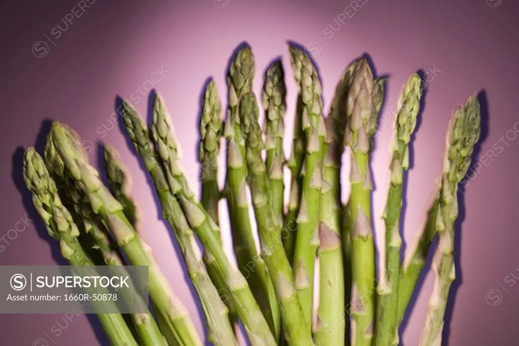 Asparagus SuperStock