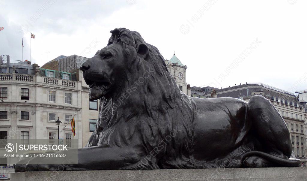 Lion statue at the base of Nelson's Column monument in Trafalgar Square