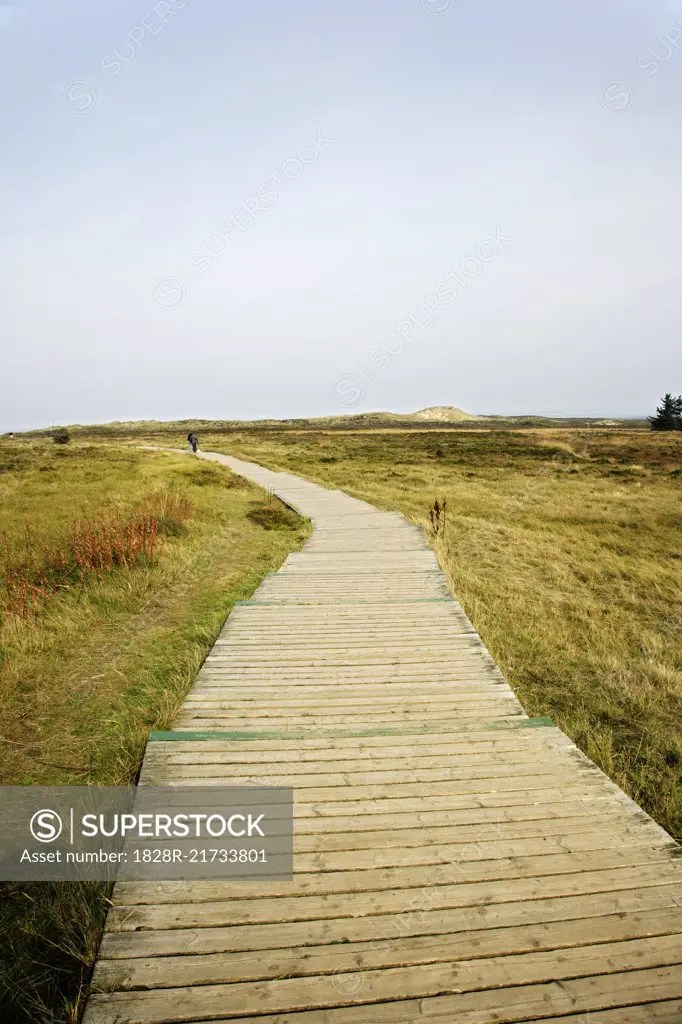 Wooden Pathway - SuperStock